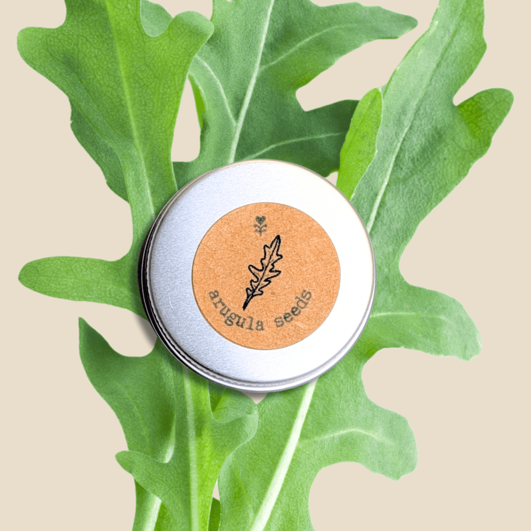 Organic arugula seed tin with label and green arugula leaves