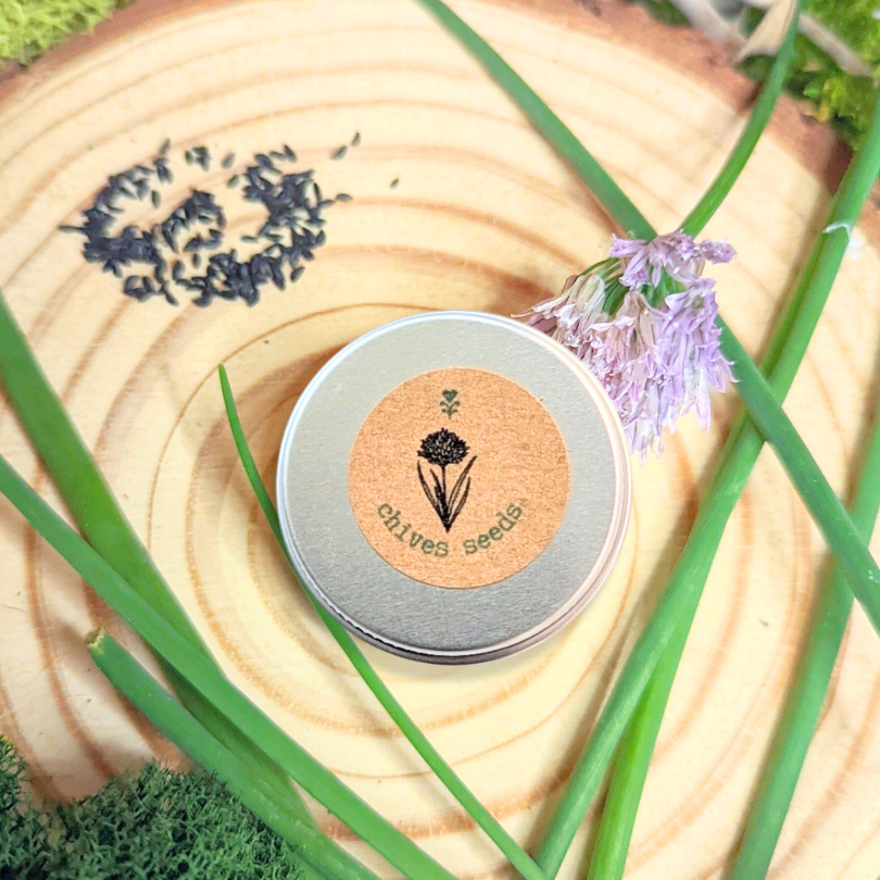Chives seed tin on wood round with fresh green stems and dried flowers nearby