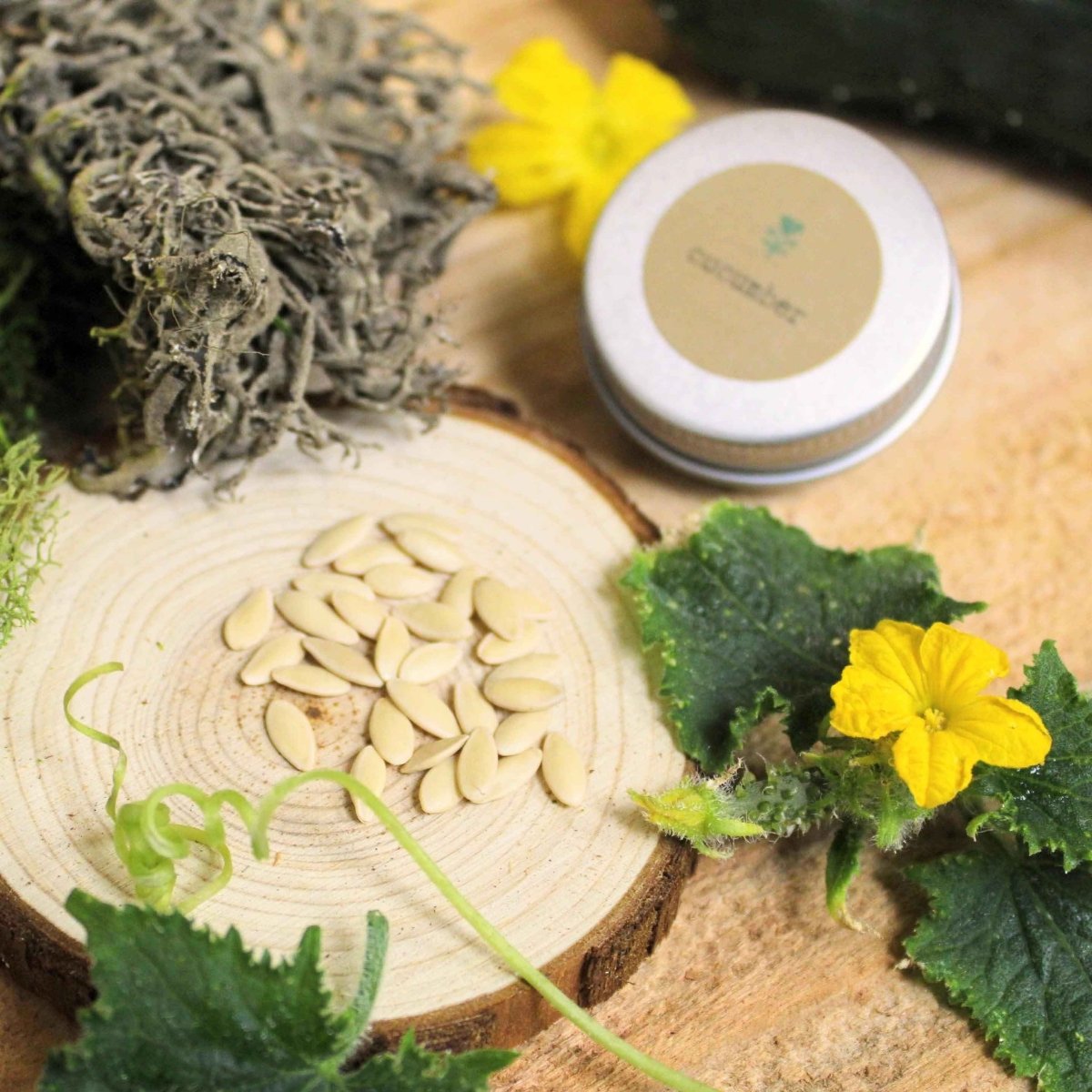 Cucumber seeds tin near cucumber seeds on wood slices with green leaves and flower