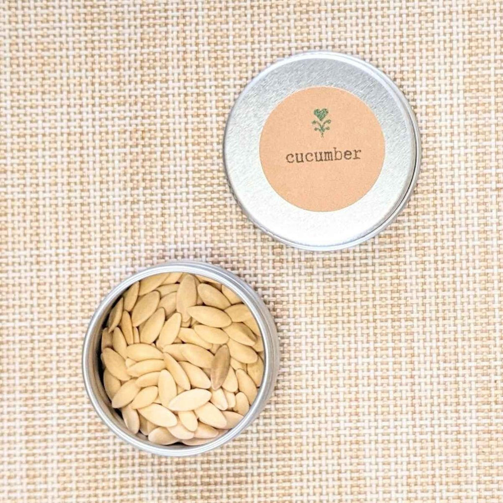 Cucumber seed tin and small bowl of pale cucumber seeds on woven fabric
