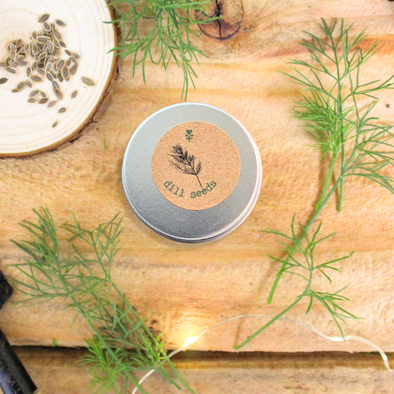 Herb seed tin with dill seeds label surrounded by fresh dill sprigs