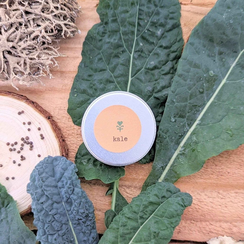 Kale seed tin with 'kale' label beside fresh curly kale leaves