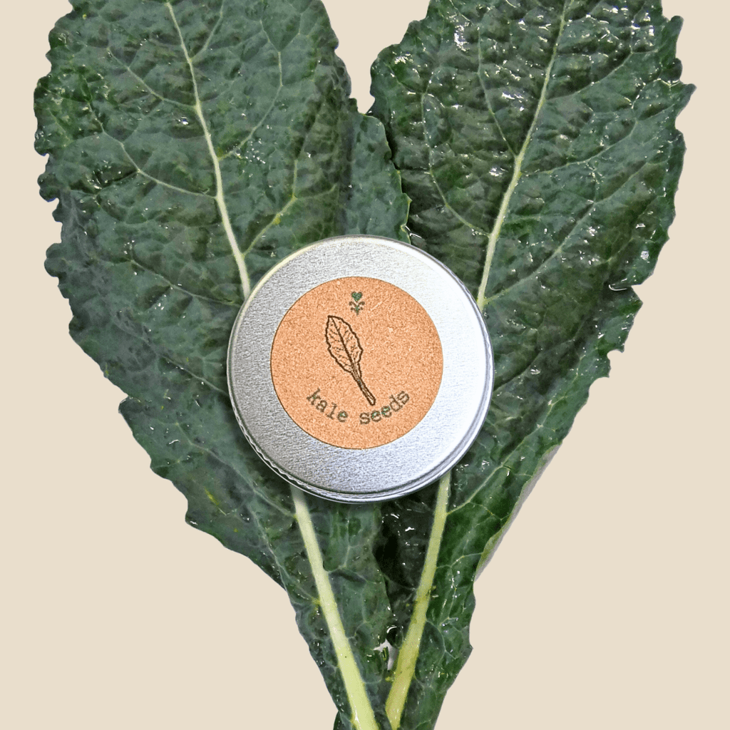 Organic kale seed tin with 'kale seeds' label and metal lid