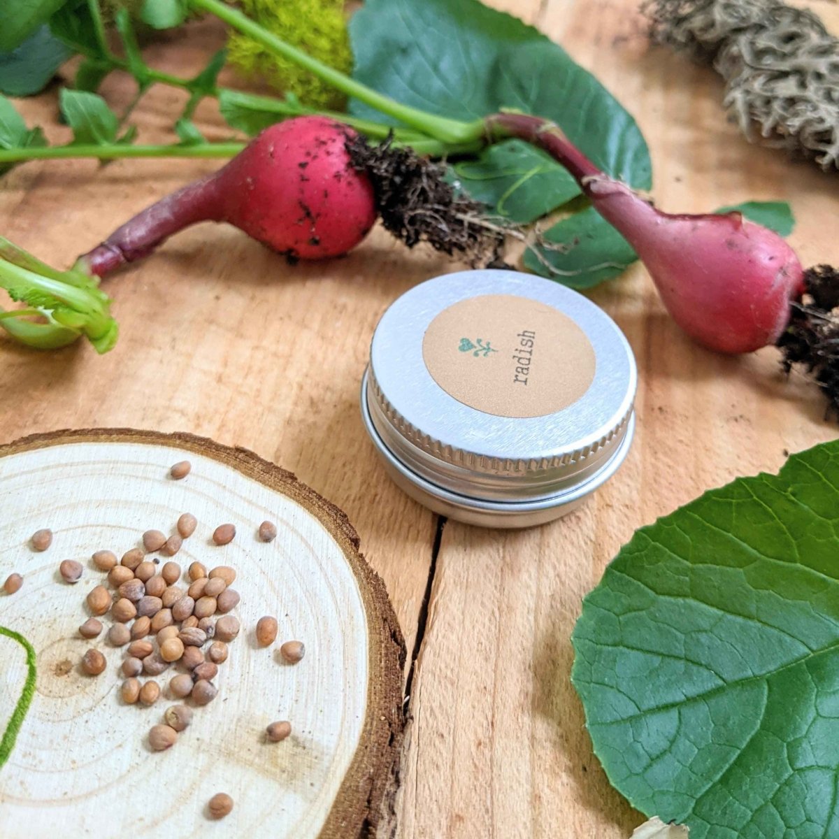Radish seed tin beside red radishes and seed grains on wooden board