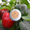 Sweet pepper seeds tin with organic sweet pepper logo, silver round container