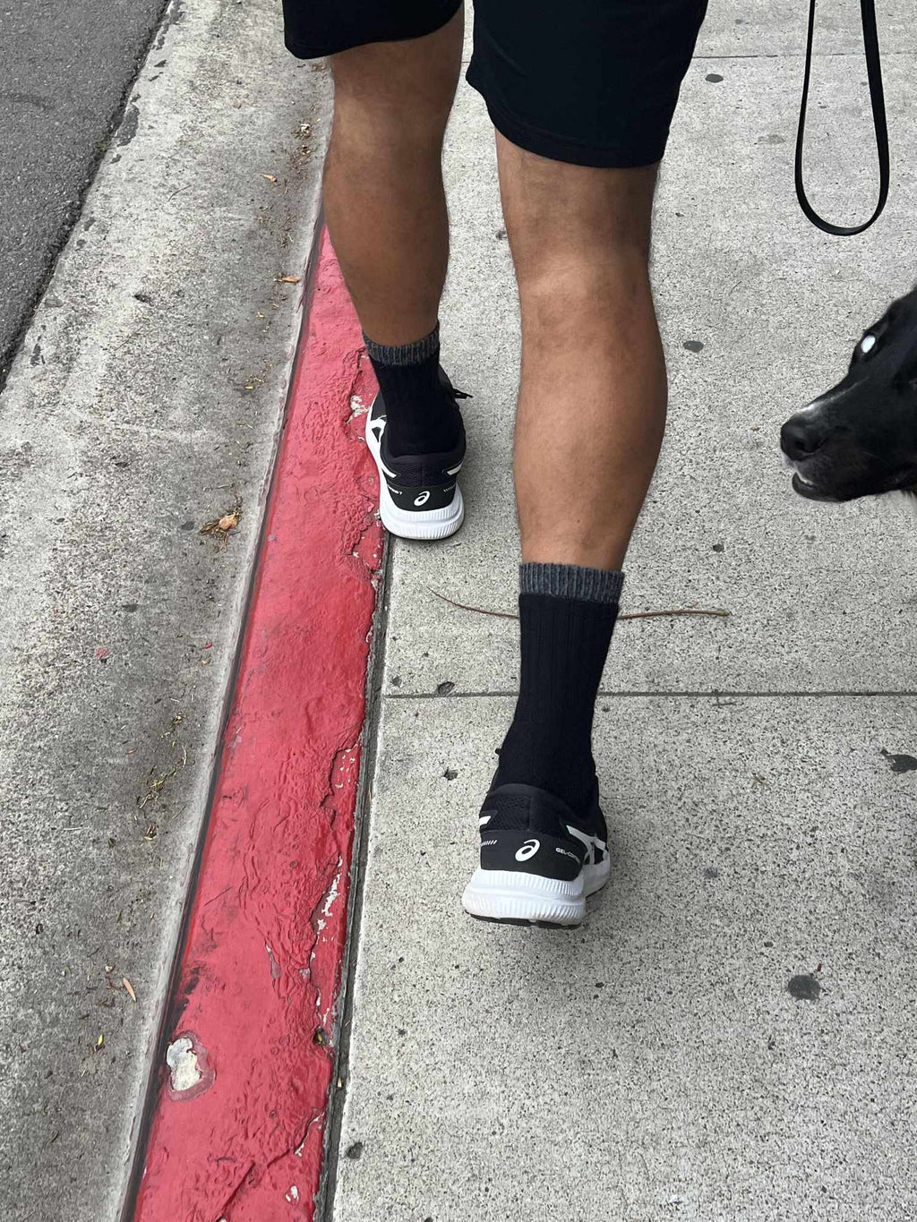 Alpaca socks in black with ribbed cuff and dark toe and heel accents