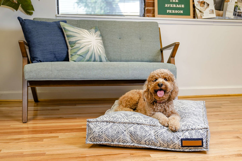 Lounger pet bed with gray zigzag patterned cover and bolster; tan dog resting on it