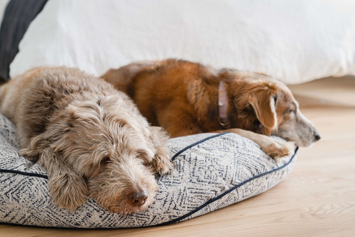 Round pet bed, gray geometric fabric with dark blue piping; two dogs curled inside
