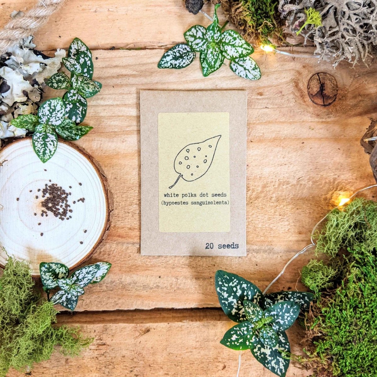 Pet-friendly houseplant seed collection: white polka dot seed packet (20 seeds)