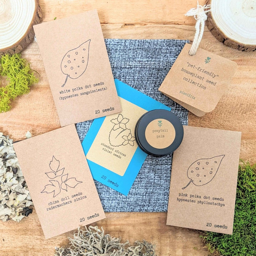Pet-friendly houseplant seed collection: assorted seed packets and black seed tin lid