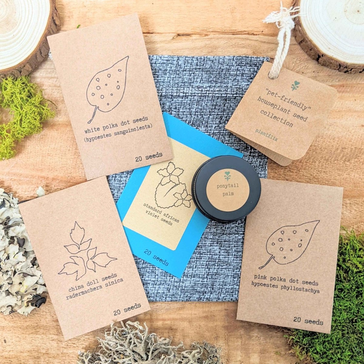 Pet-friendly houseplant seed collection: assorted seed packets and black seed tin lid