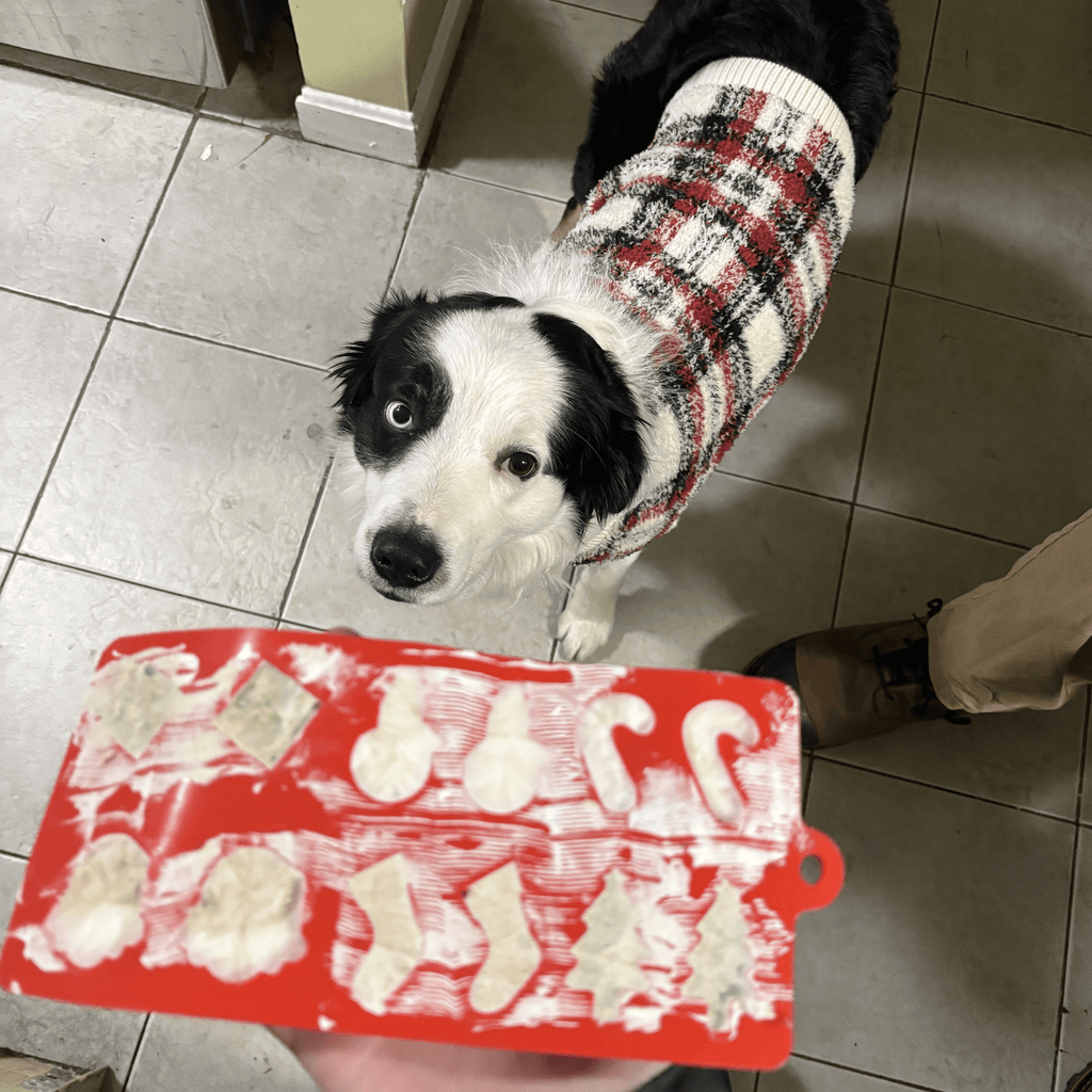 Red silicone pet treat mold tray with paw and bone shapes on floor
