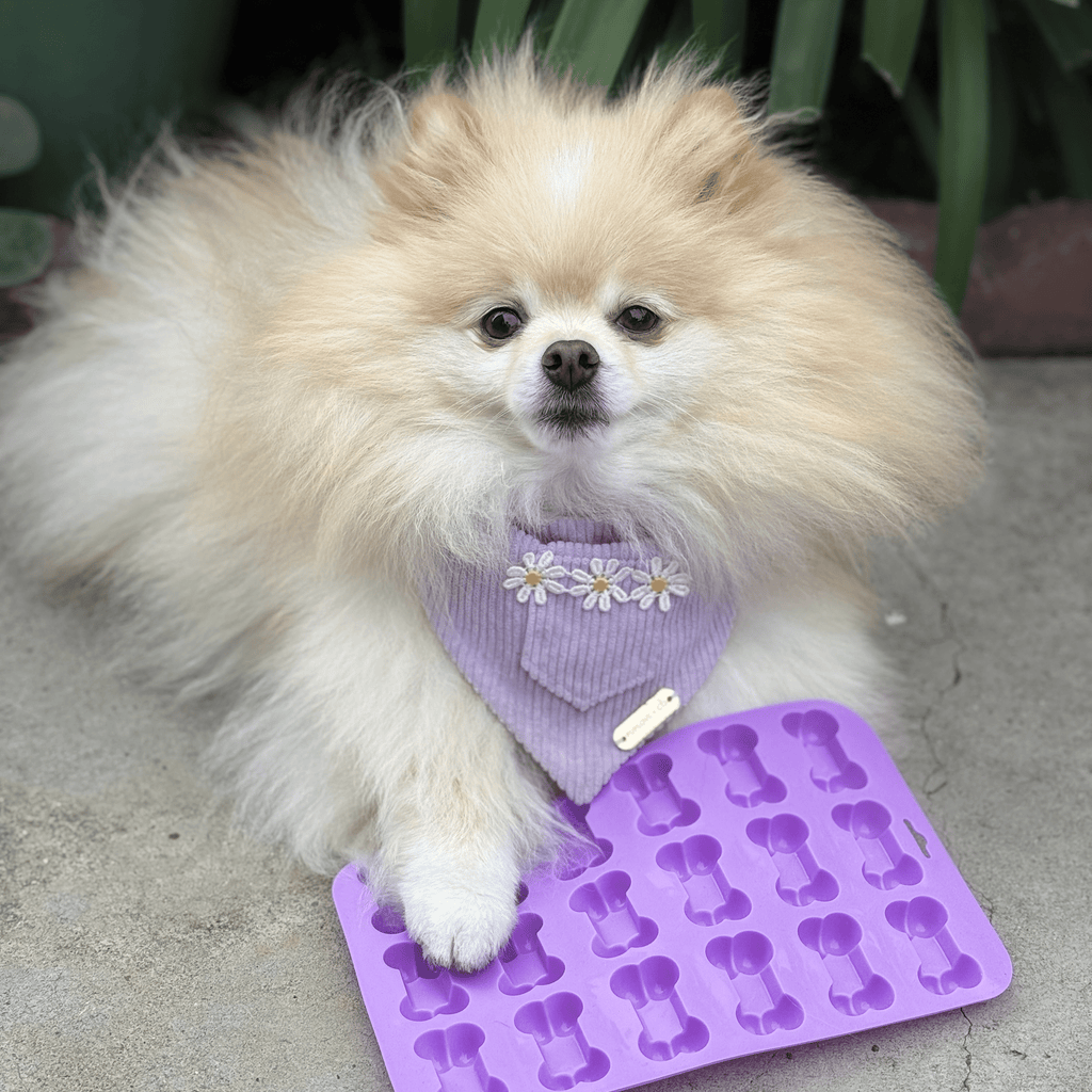 Small dog holding near a purple silicone pet treat mold with bone-shaped cavities