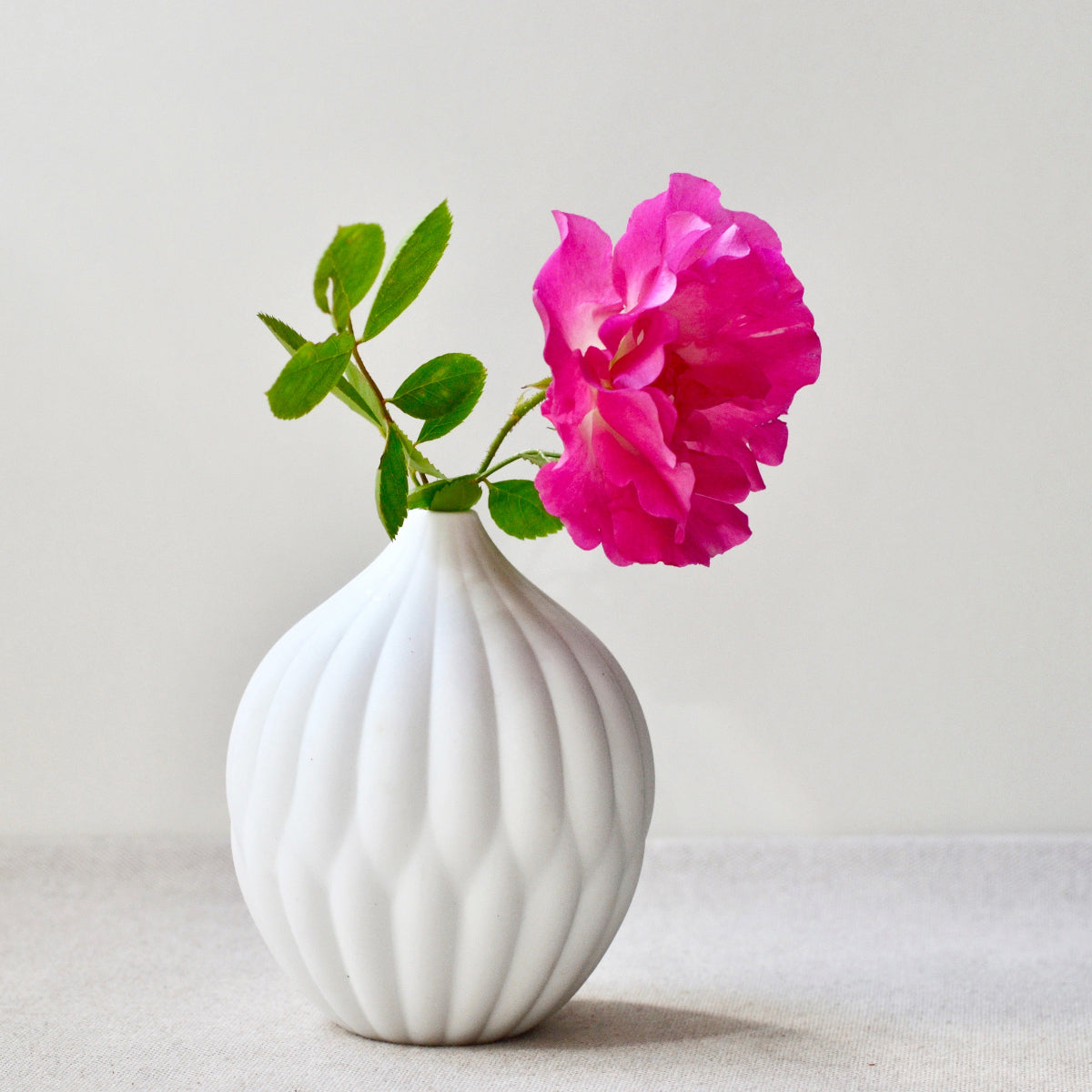 Textured porcelain vase with ribbed white body and bright pink flower