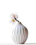 Textured porcelain vase with white ribbed bulb and small white blossoms