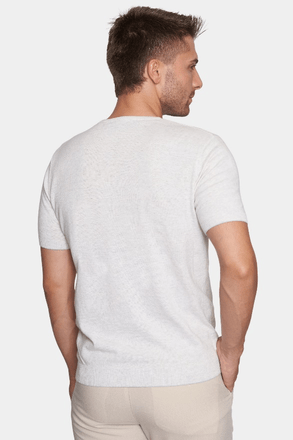 Men's heather light T-shirt from back view with short sleeves and curved hem