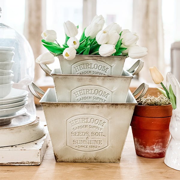 Three distressed white metal planters with handles, embossed vintage seal, tulip stems shown.