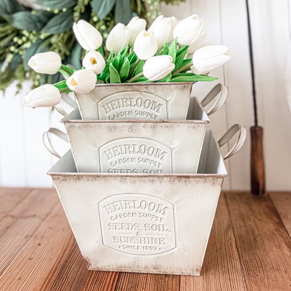 Three distressed white metal planters with handles filled with white tulip-style flowers.