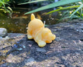 Beeswax puppy candle, lying on stone with two upright wicks