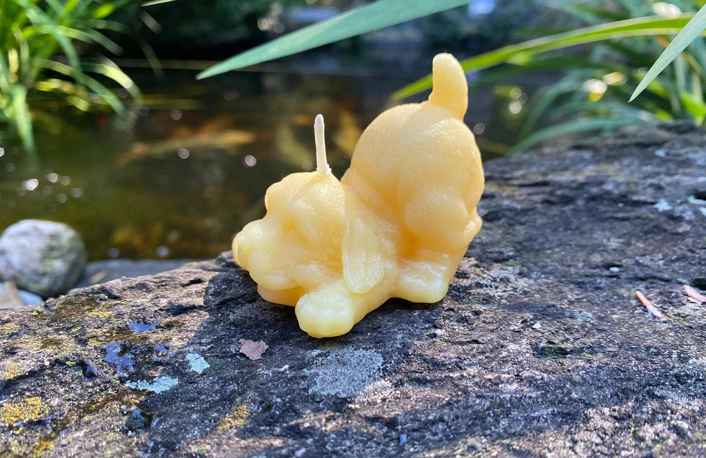 Beeswax puppy candle with two wicks, side view on textured stone
