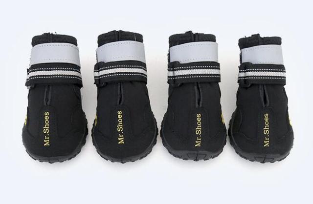 Set of black waterproof dog boots with white top strap and hook-and-loop closure