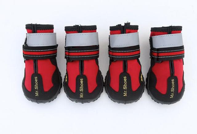 Four red and black waterproof dog boots lined up, each with white cuff and straps