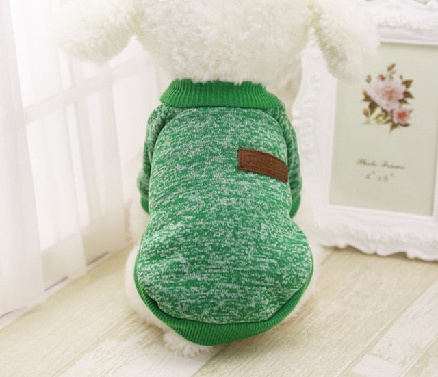 Green winter pet sweater with ribbed collar and Classic logo patch.