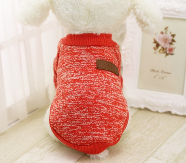 Red winter pet sweater with ribbed collar and Classic logo patch.