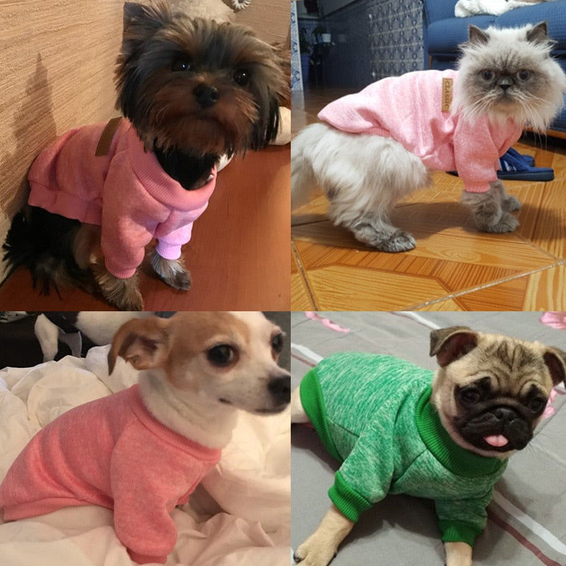 Pets wearing pink, coral, and green winter sweaters with ribbed cuffs