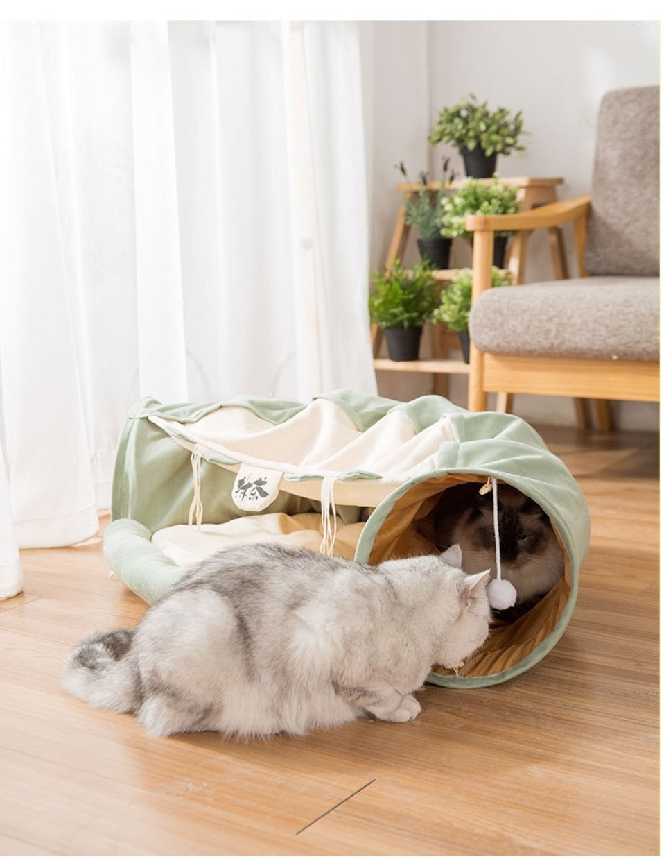 Collapsible cat tunnel tube with removable cat bed, mint green and cream, cat peeking inside