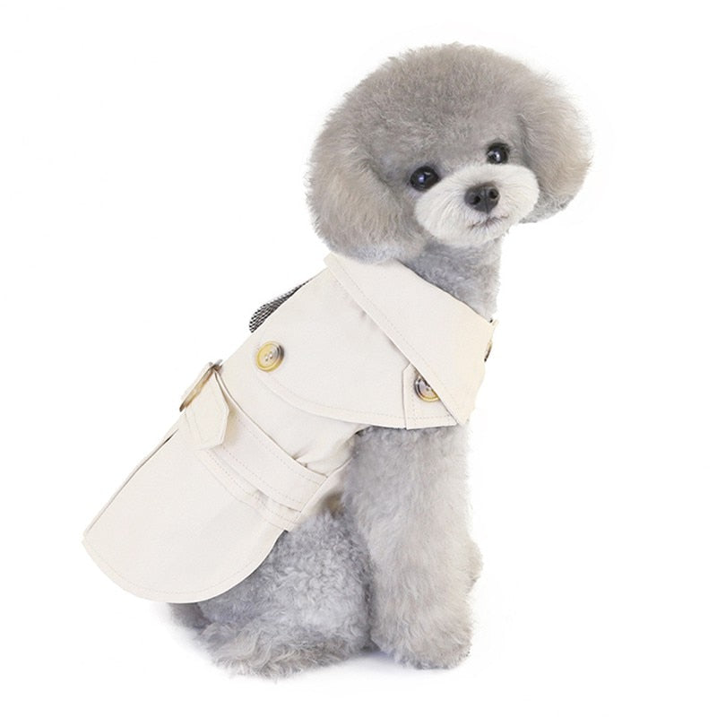 Pet jacket coat with light cream collar and buttons, belted front for small dogs