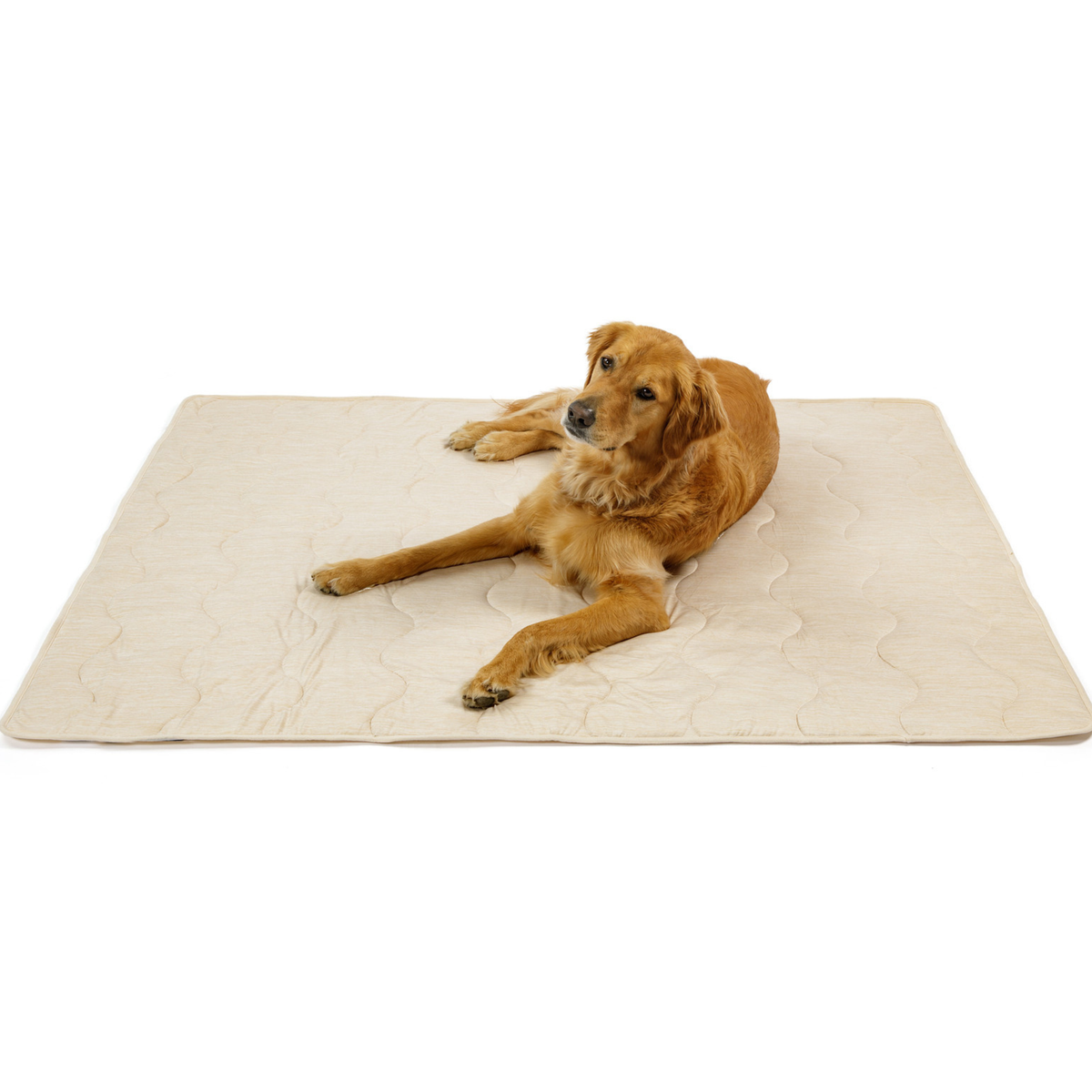 Dog cooling waterproof blanket in light arctic sand, quilted wave pattern, spread flat