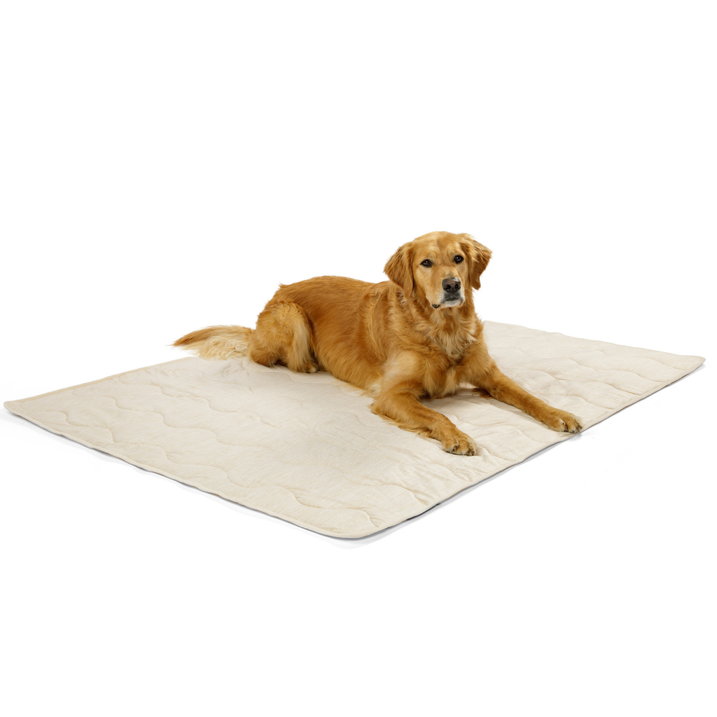 Arctic Sand cooling waterproof pet blanket, cream quilted pad with a golden dog lying