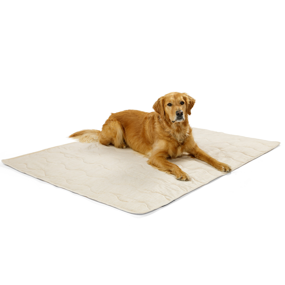 Arctic Sand cooling waterproof pet blanket, cream quilted pad with a golden dog lying