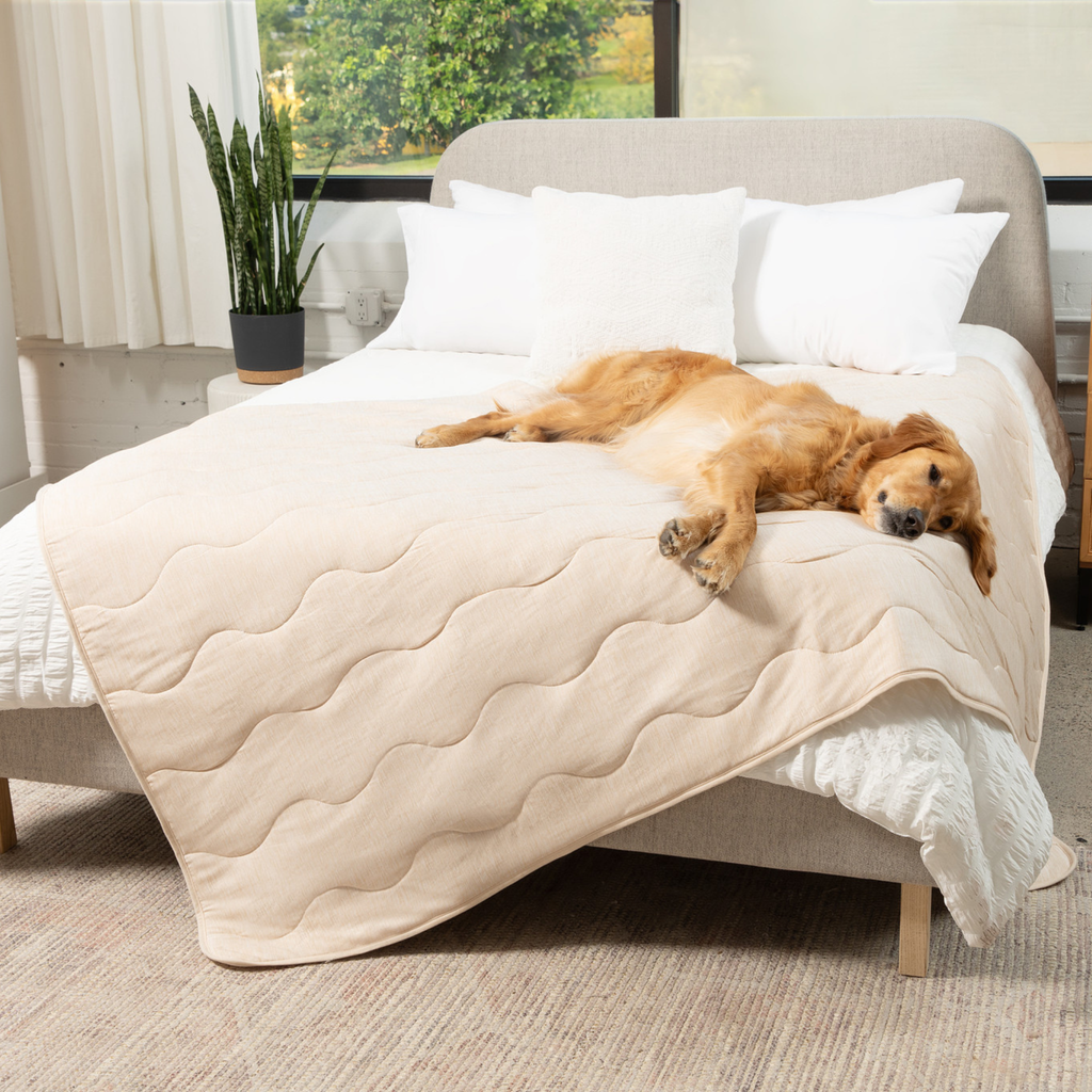 Dog cooling waterproof blanket in light arctic sand, quilted top and draped edge on bed