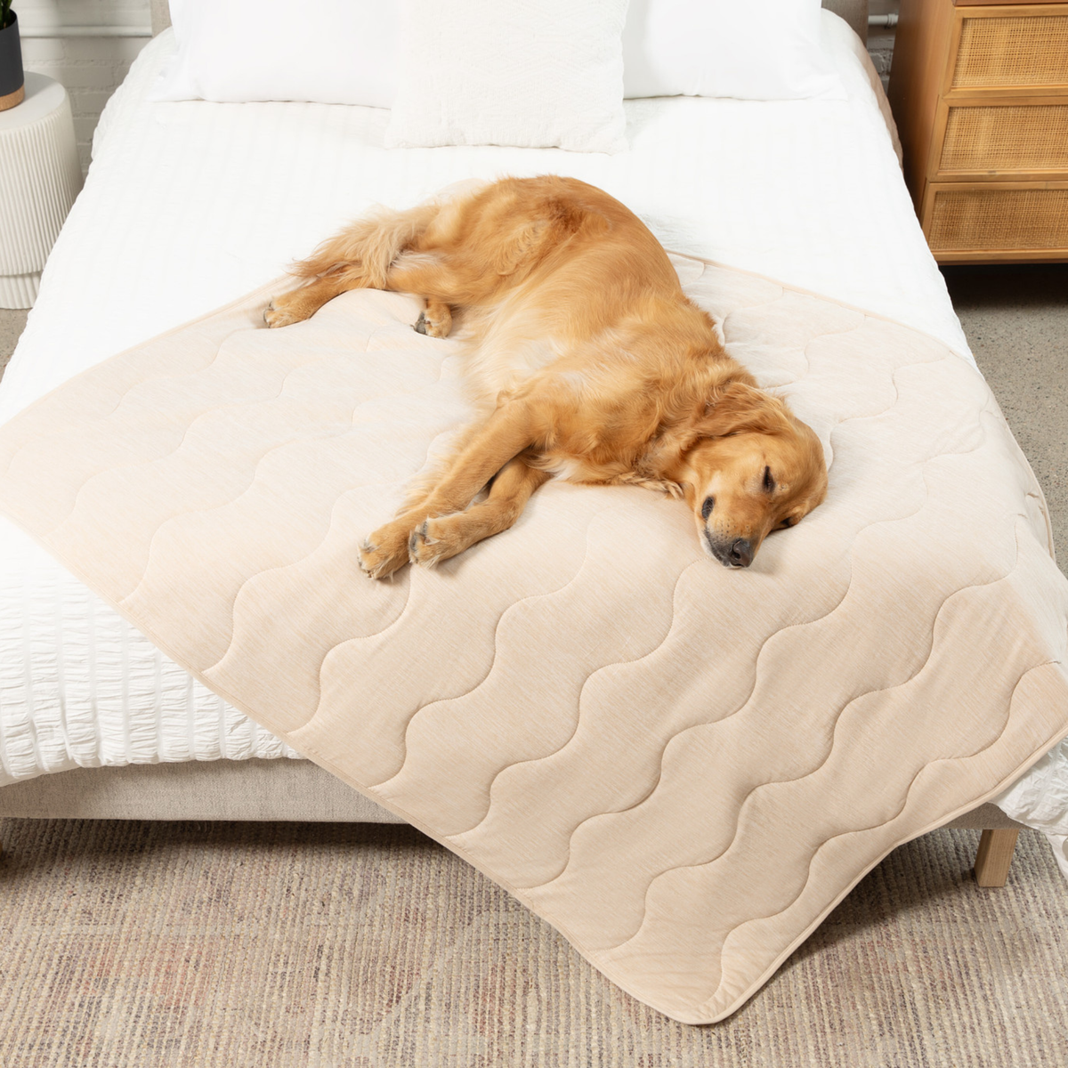 Dog cooling waterproof blanket, light arctic sand quilted surface, dog resting on top
