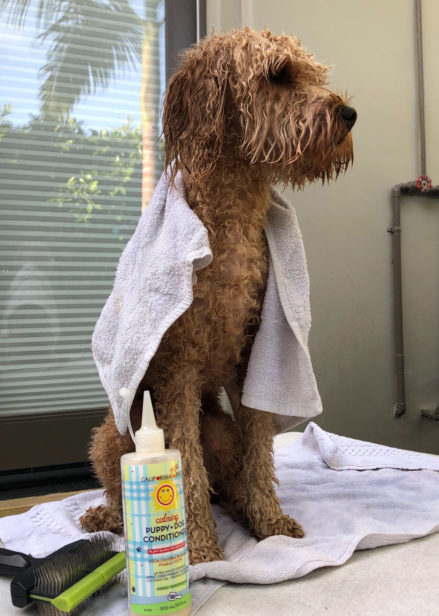 Calming™ puppy and dog conditioner bottle with pump beside brown dog on towel