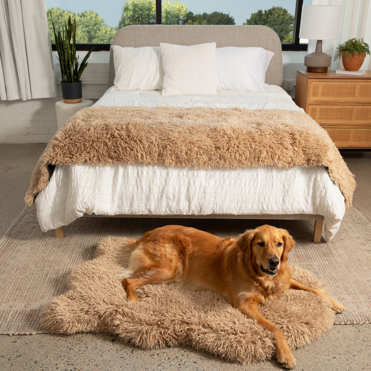 Tan faux fur orthopedic dog bed with white base and a dog resting in front