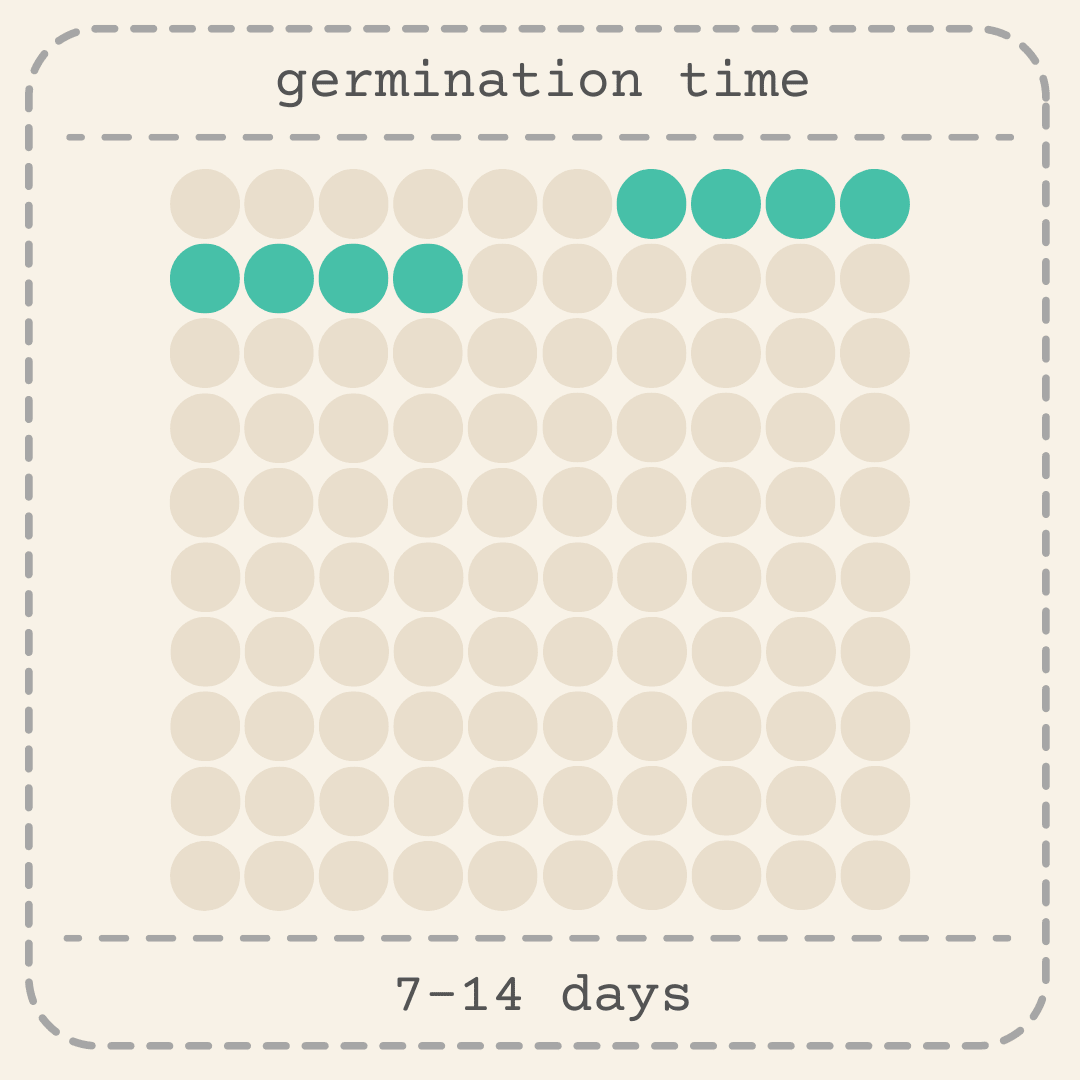 Coleus germination time chart with 7–14 days and sprouting dot pattern