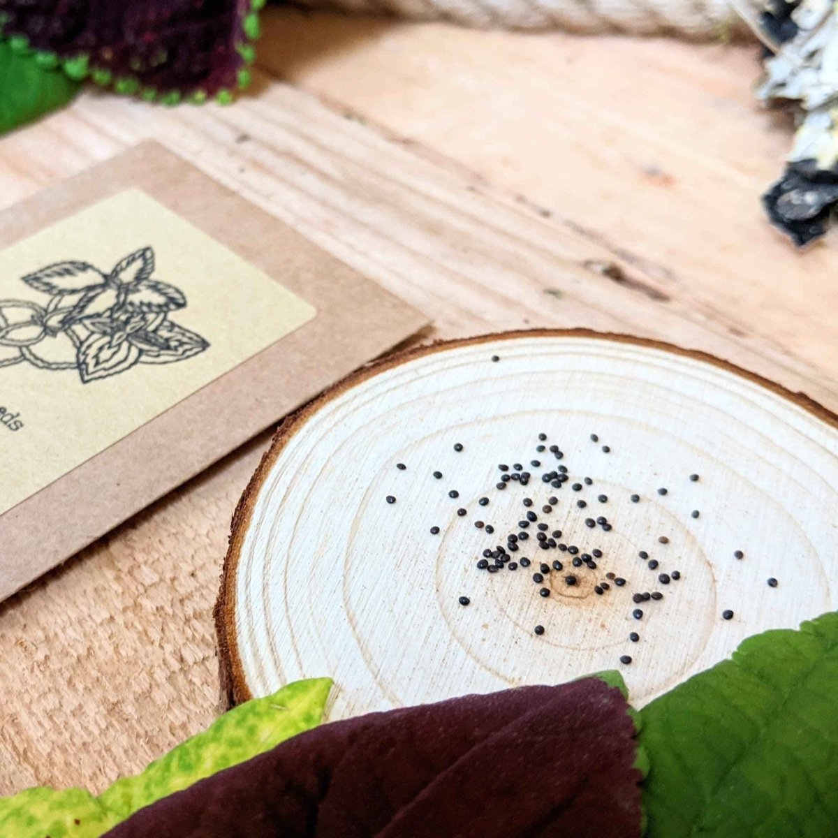 Coleus seeds spread on a wooden slice, with a seed packet lying beside it