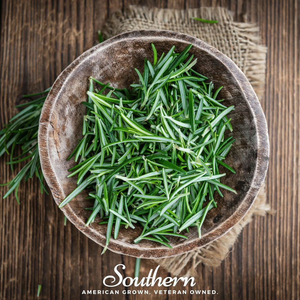 Rosemary cut sprigs in a bowl with green needle-like leaves