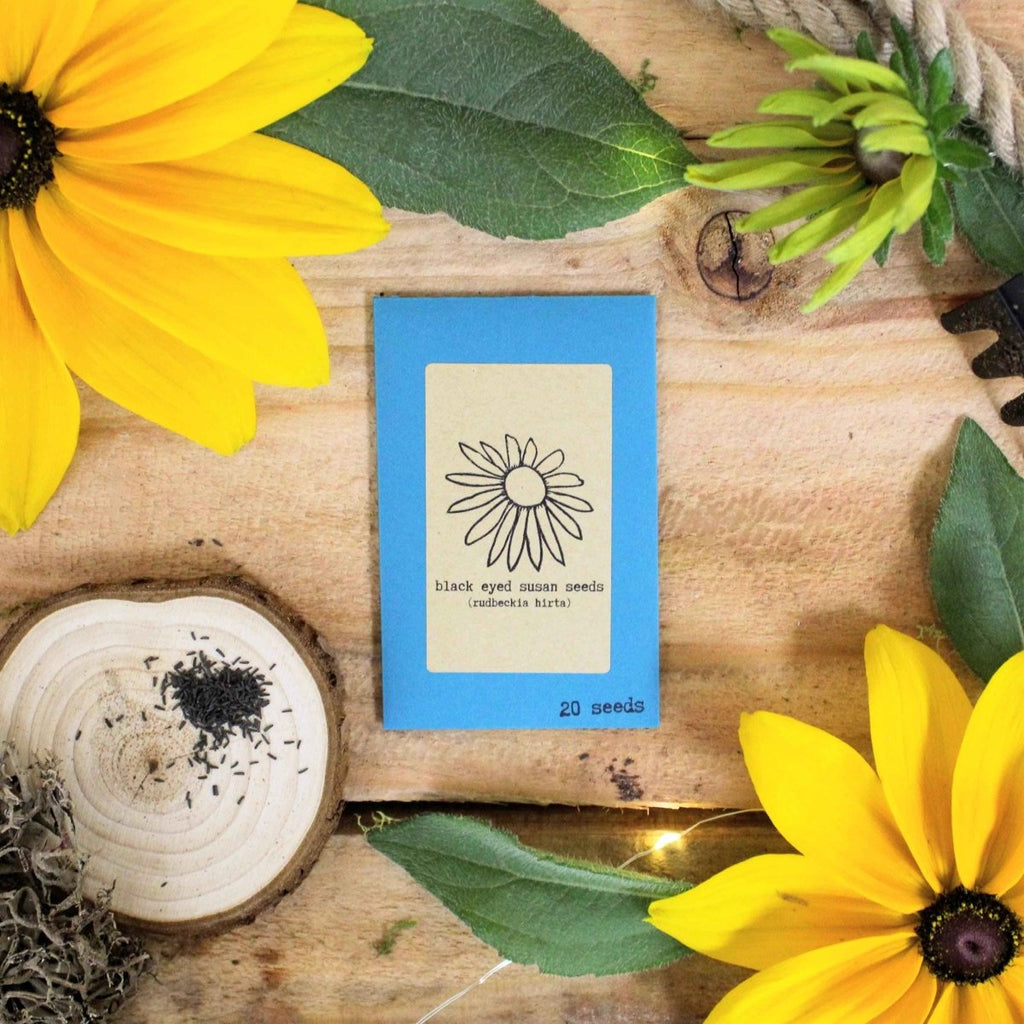 Black-eyed Susan seed packet on wooden board with yellow flowers and green leaves
