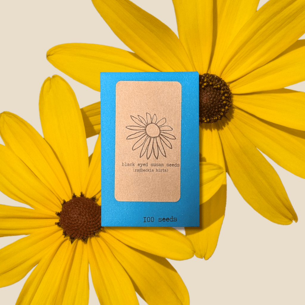 Black-eyed Susan seed packet, blue with flower logo and text, 100 seeds