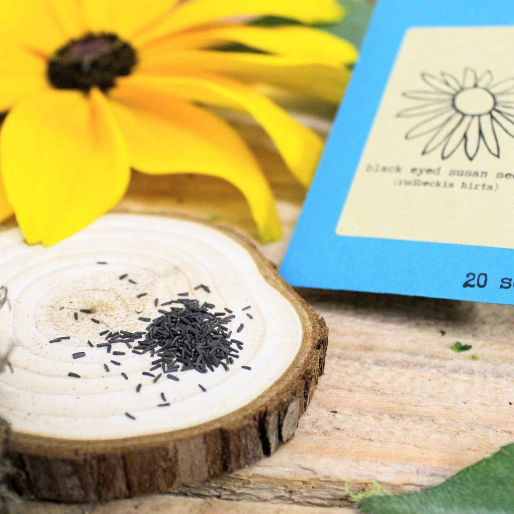 Black-eyed Susan seed packet beside a small mound of black seeds on cut wood slice