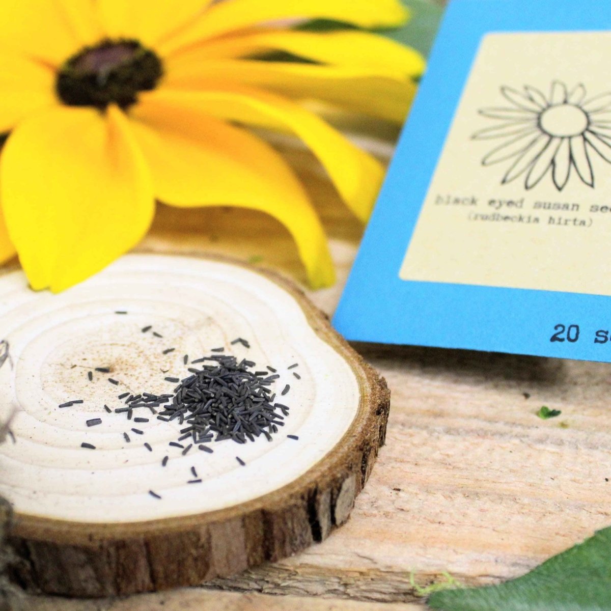 Black-eyed Susan seed packet beside a small mound of black seeds on cut wood slice