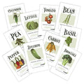 Vegetable garden seed collection of 10 assorted packets with lettuce, tomato, bean, basil and more