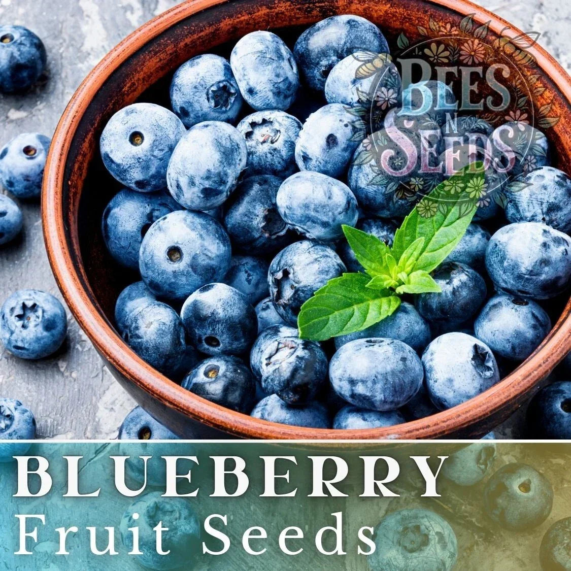 Blueberry fruit seeds with fresh blueberries in a bowl, green leaves