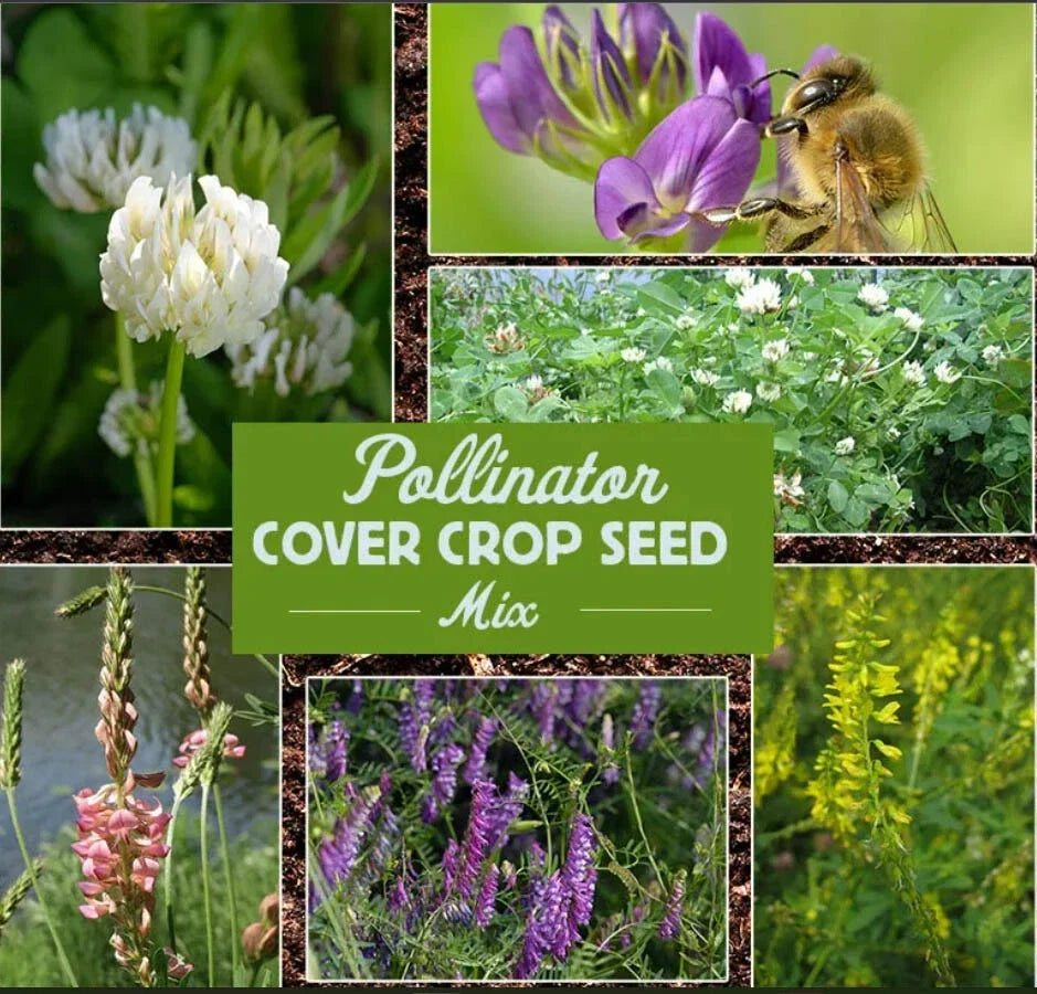 Pollinator cover crop seed mix packet with wildflower and bee illustration