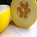 Golden yellow muskmelon half with visible brown seeds and pale interior