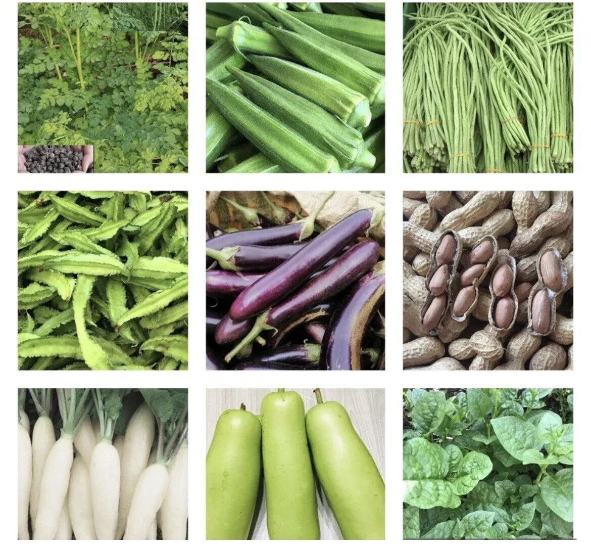Asian vegetable seed variety assortment with photos of green pods and beans